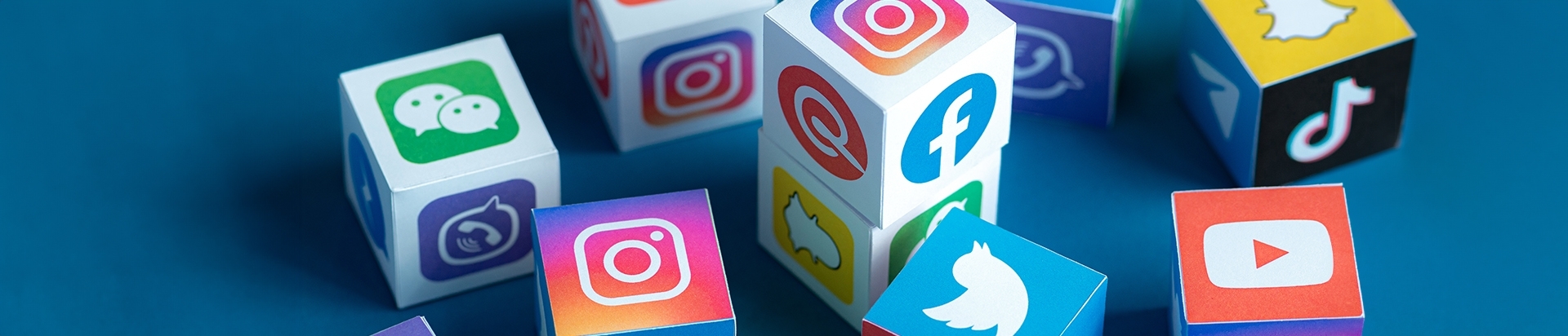 הפרויקט שלך - החשיפה עלינו | בלורן פרזול