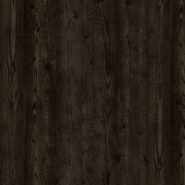 תמונת בלורן