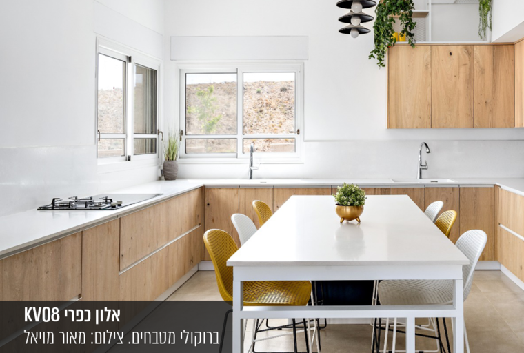 דלתות לארונות מטבח ורהיטים מבית | בלורן ייבוא ושיווק פרזול בלורן דלתות לארונות מטבח ורהיטים מבית | בלורן ייבוא ושיווק פרזול בלורן