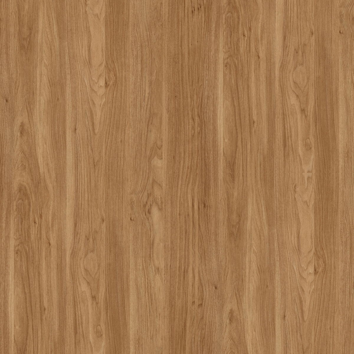 קולקציית למיטאצ' + PP - קולקציית חומרים מבית PORTA-LINE | בלורן פרזול