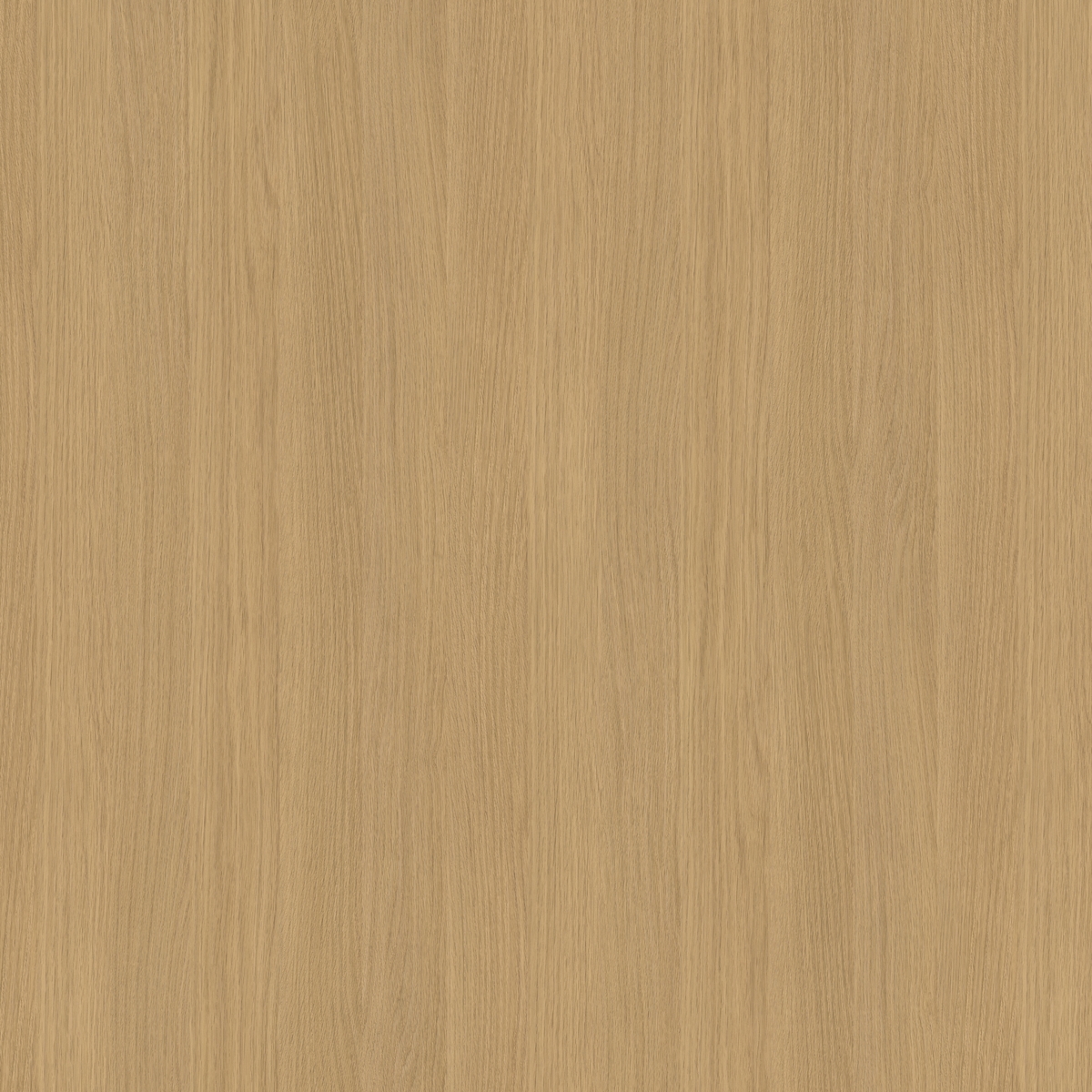 קולקציית למיטאצ' + PP - קולקציית חומרים מבית PORTA-LINE | בלורן פרזול